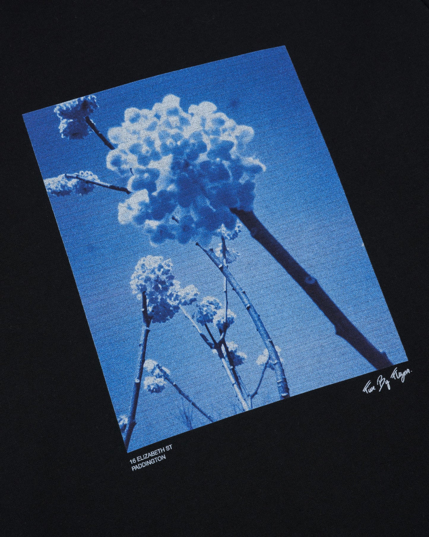 Hoodie - Cyanotype Flowers